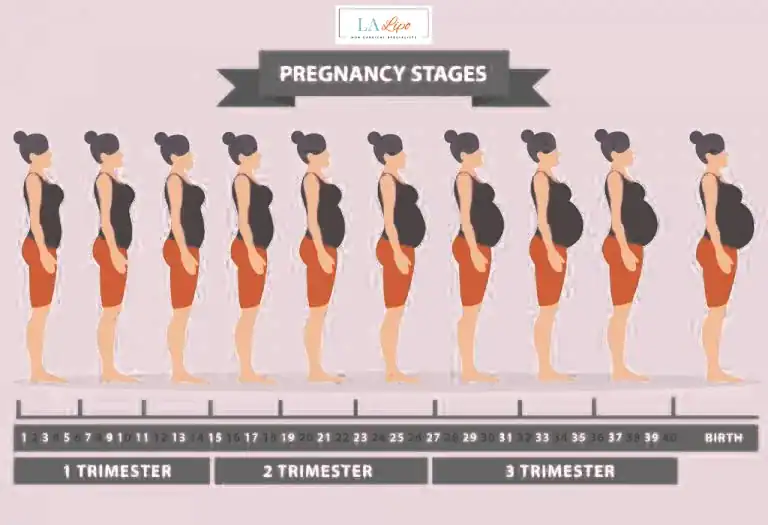 First Trimester (Weeks 1–12): Early Changes You Might Not Notice Watford